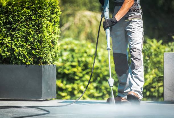 Best Roof Washing  in Williamstown, PA