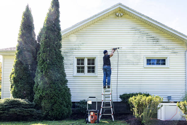Best Driveway Pressure Washing  in Williamstown, PA